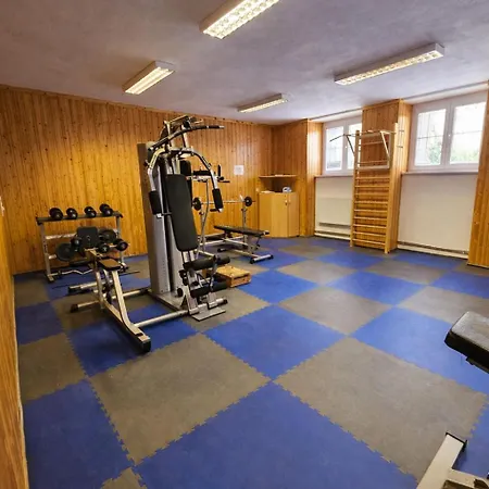 Revis 3* Tachov (Plzen)